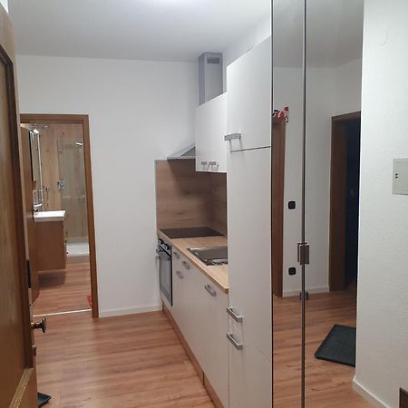 Ferienhaus-Schoenwald Im Herzen Des Schwarzwaldes 1Zimmer Wohnung Mit Terrasse App17 Екстер'єр фото