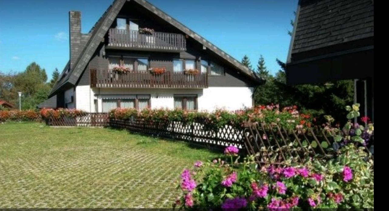 Ferienhaus-Schoenwald Im Herzen Des Schwarzwaldes 1Zimmer Wohnung Mit Terrasse App17 Екстер'єр фото