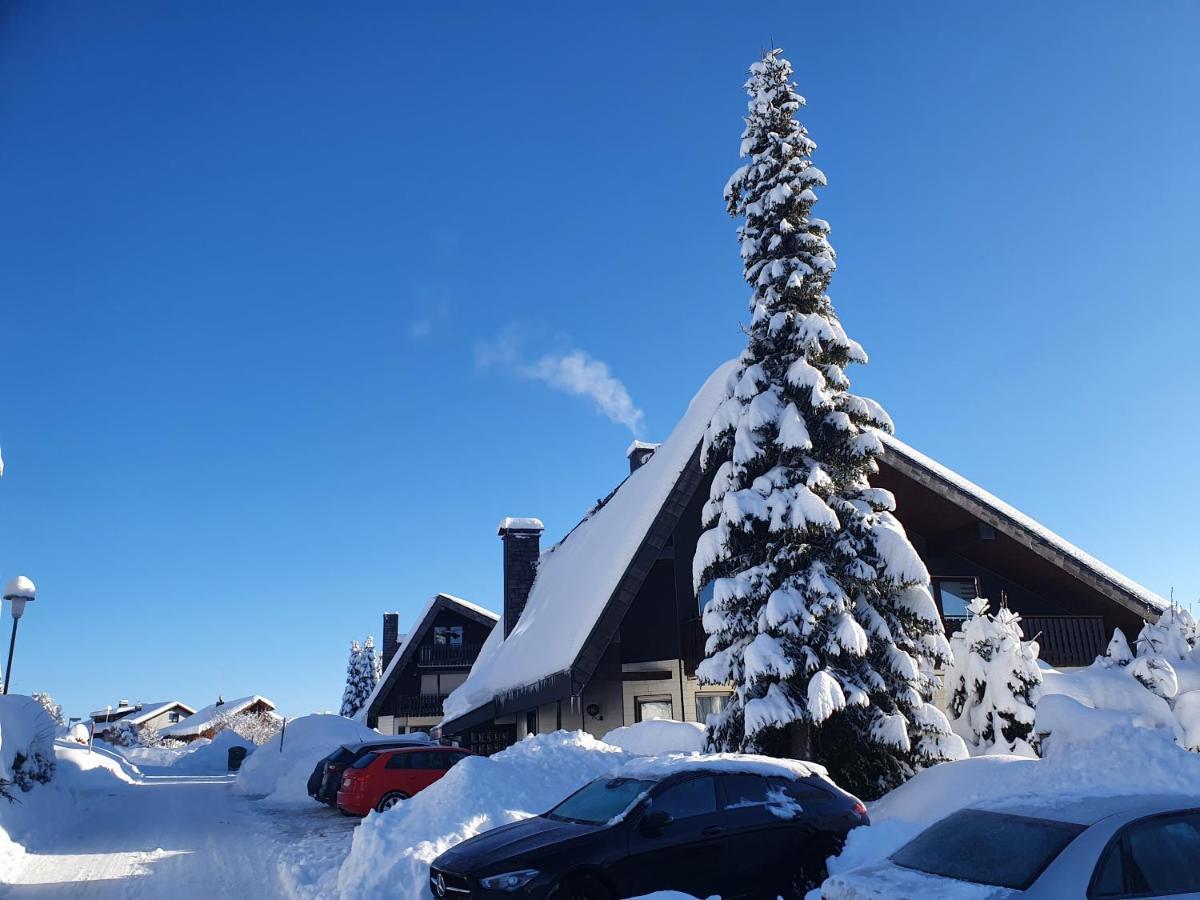 Ferienhaus-Schoenwald Im Herzen Des Schwarzwaldes 1Zimmer Wohnung Mit Terrasse App17 Екстер'єр фото