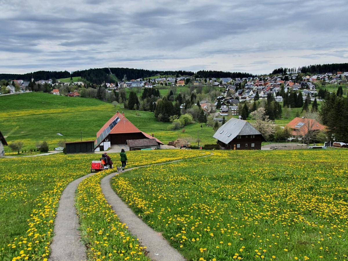 Ferienhaus-Schoenwald Im Herzen Des Schwarzwaldes 1Zimmer Wohnung Mit Terrasse App17 Екстер'єр фото