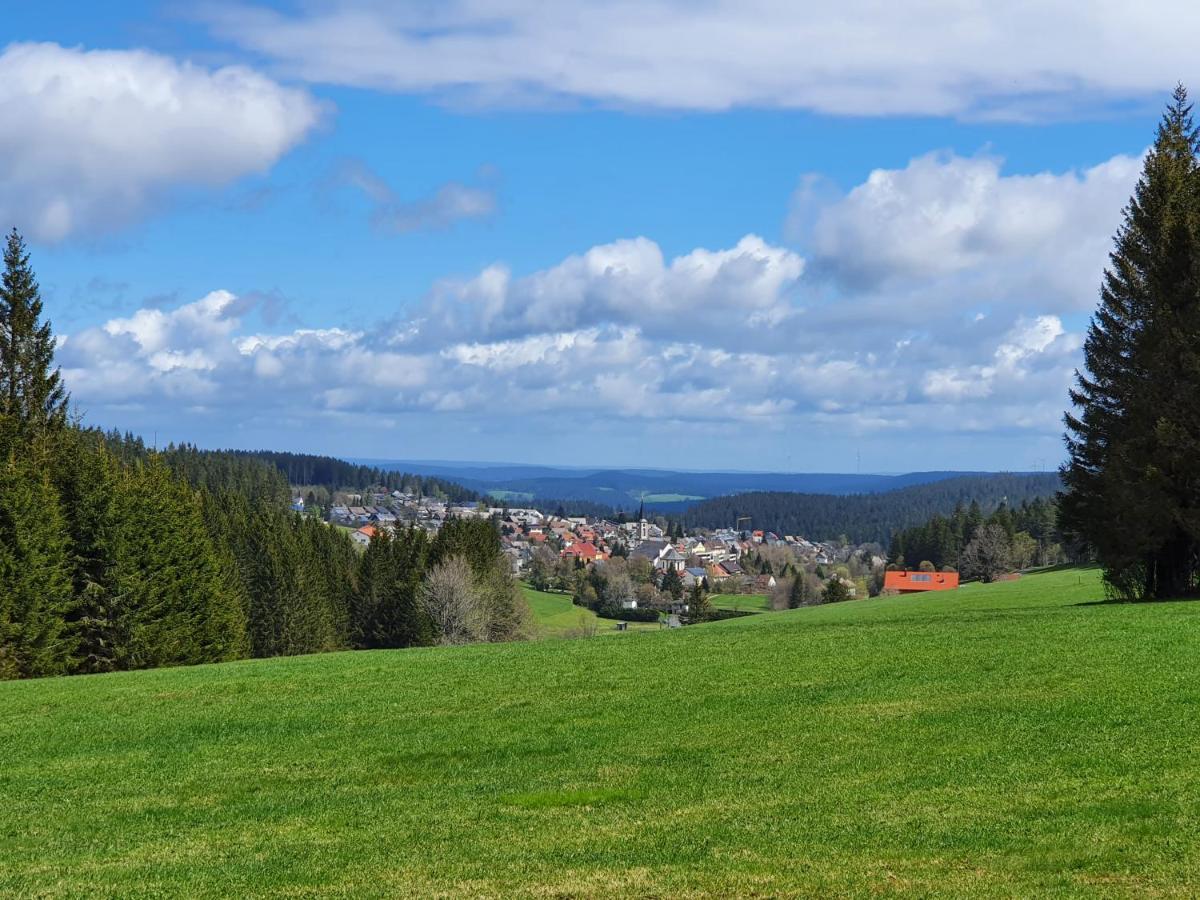 Ferienhaus-Schoenwald Im Herzen Des Schwarzwaldes 1Zimmer Wohnung Mit Terrasse App17 Екстер'єр фото